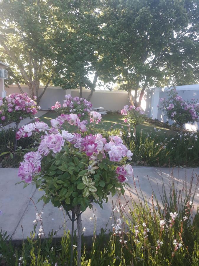 The Fancy Cactus Colesberg Exterior foto