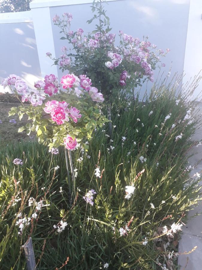 The Fancy Cactus Colesberg Exterior foto