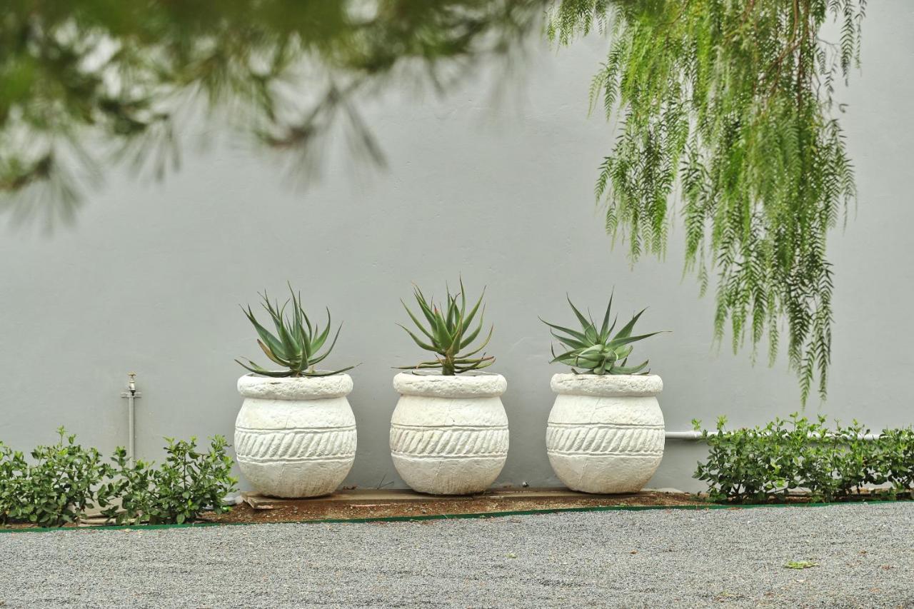 The Fancy Cactus Colesberg Exterior foto